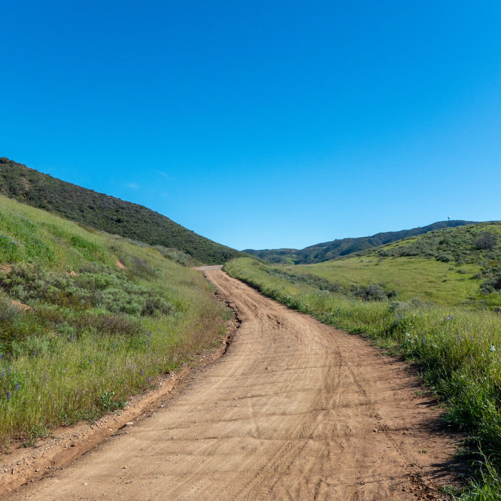 a winding dirt path with green grass on either side.